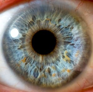 close up of eye ball