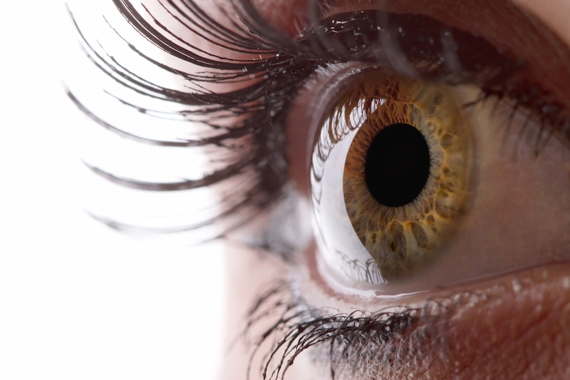 macro shot of the eye showing natural curvature of the cornea after epioxa cross-linking